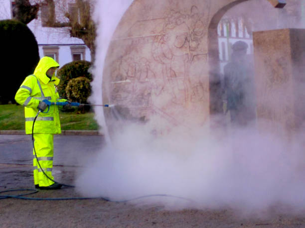 Best Affordable Pressure Washing  in Sheridan, IN